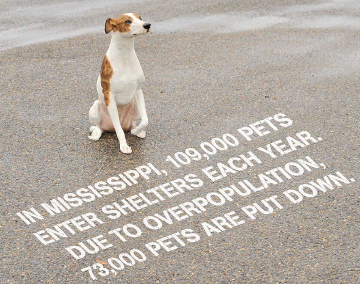 Gulf Spay Neuter Campaign – Guerrilla Marketing