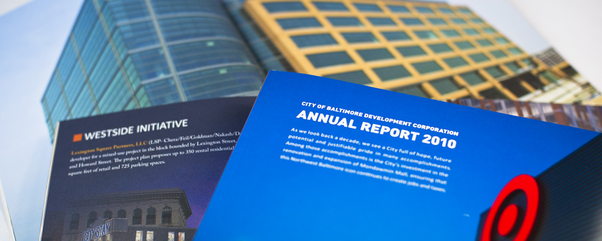 BDC 2010 AnnualReport