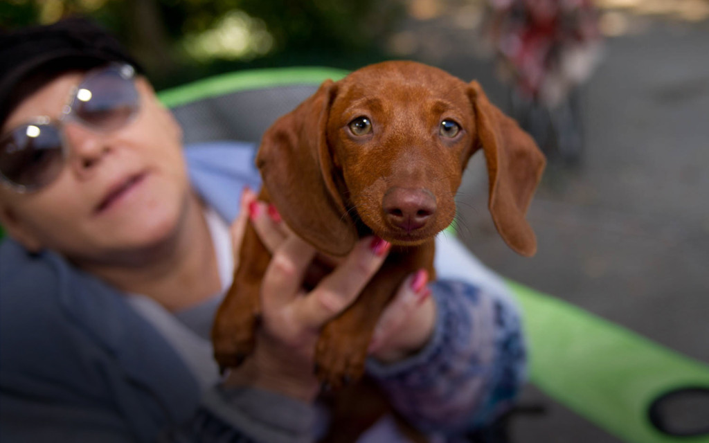 The HSUS, Pets For Life