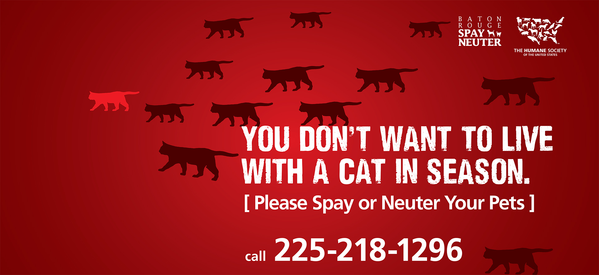 Gulf Spay Neuter Campaign