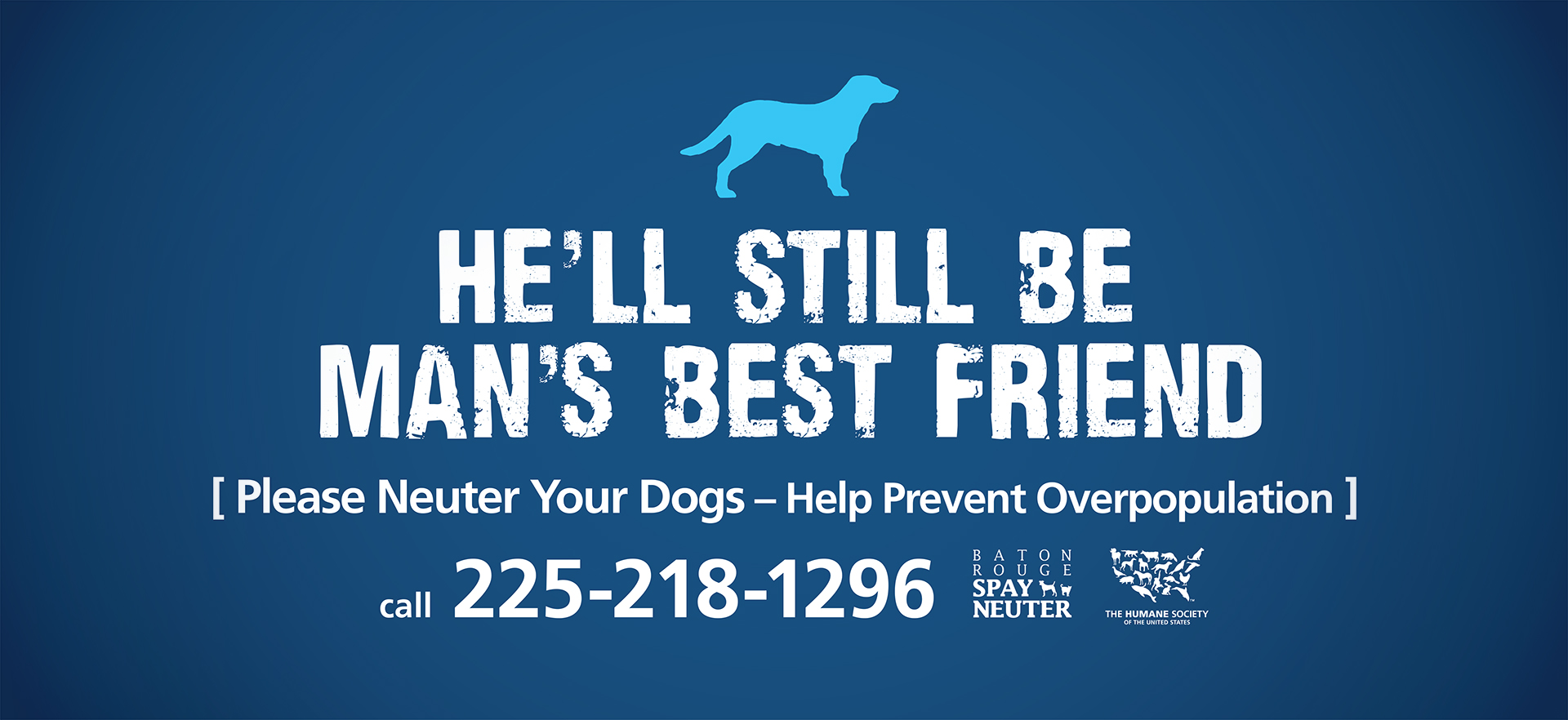 Gulf Spay Neuter Campaign