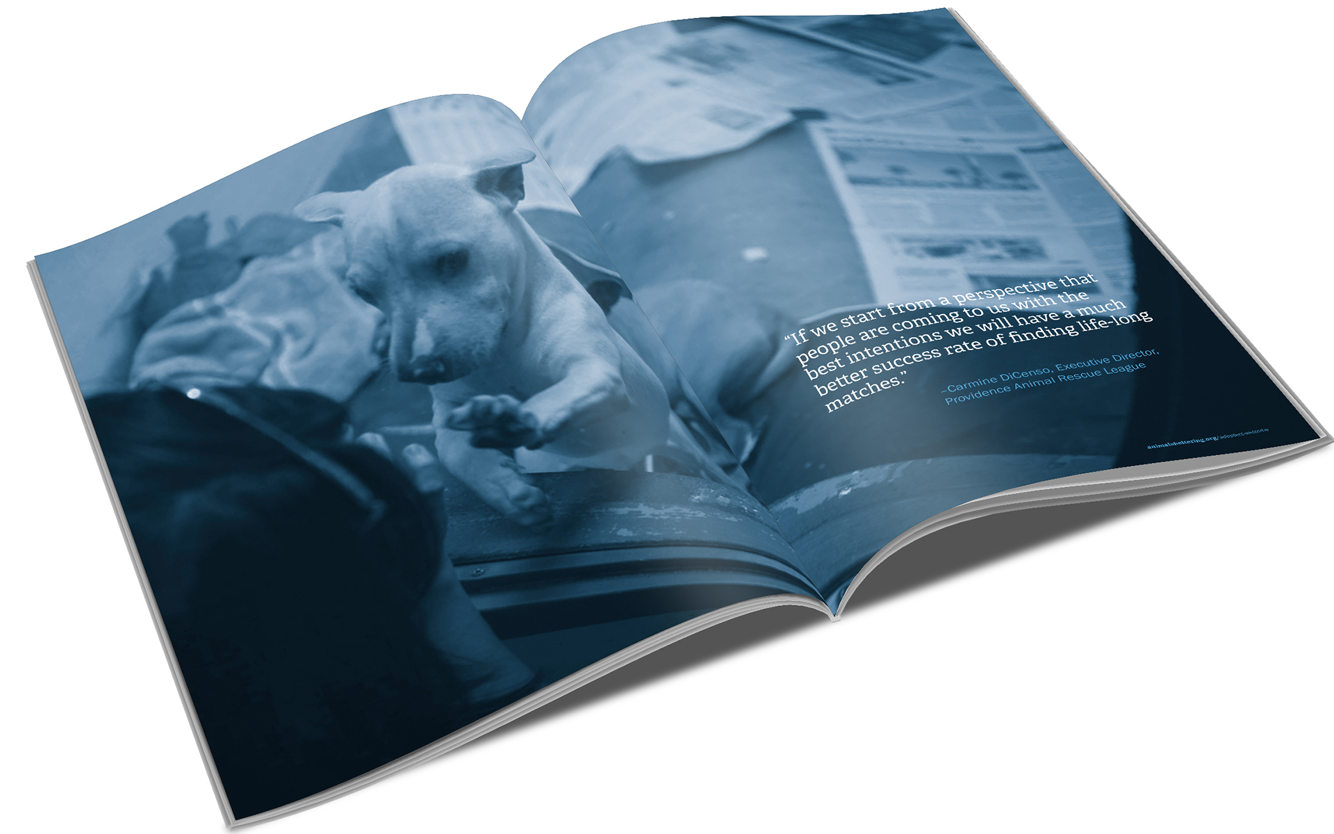HSUS Adopters Welcome Toolkit – Inside Spread