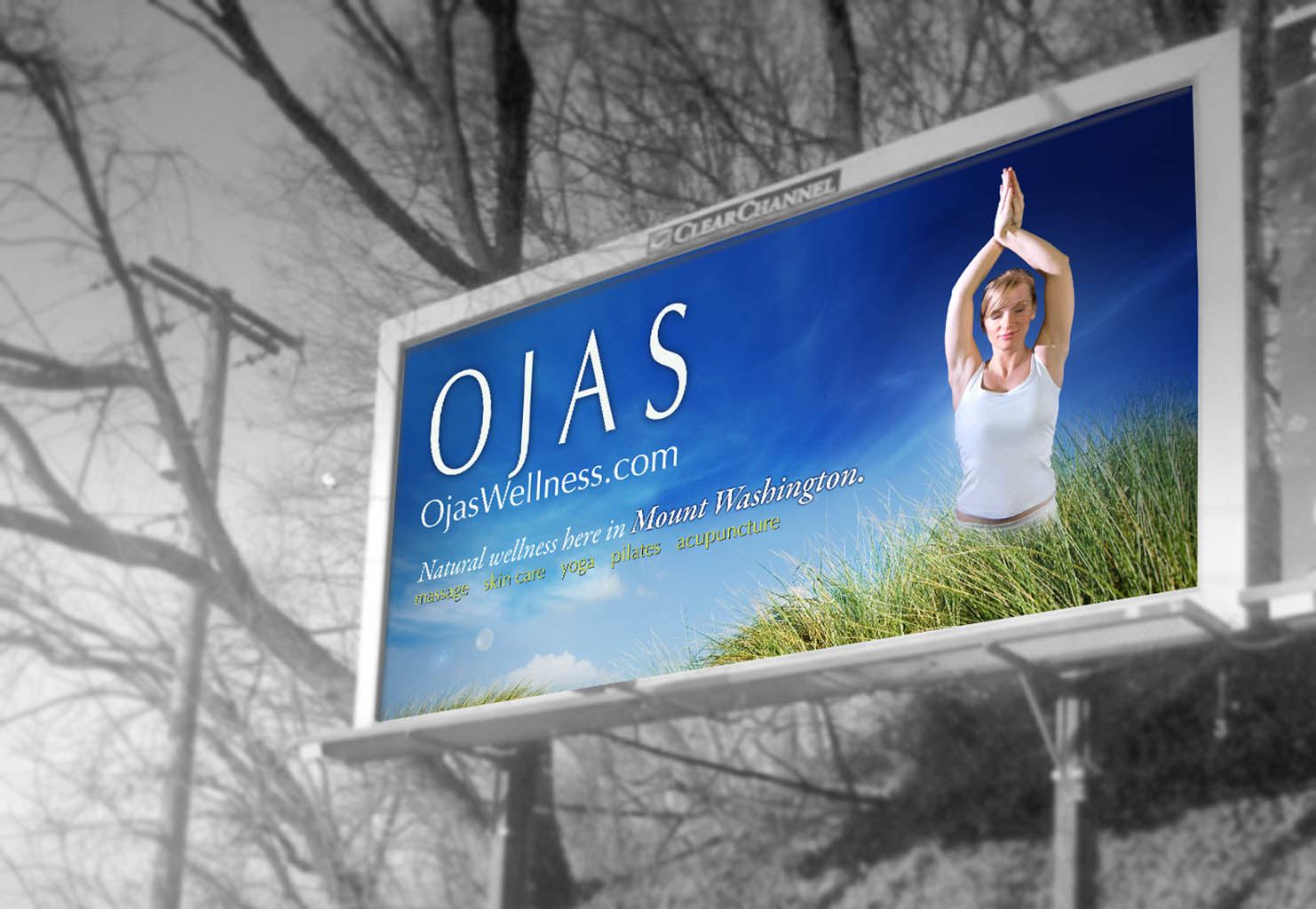 Ojas Wellness Centers