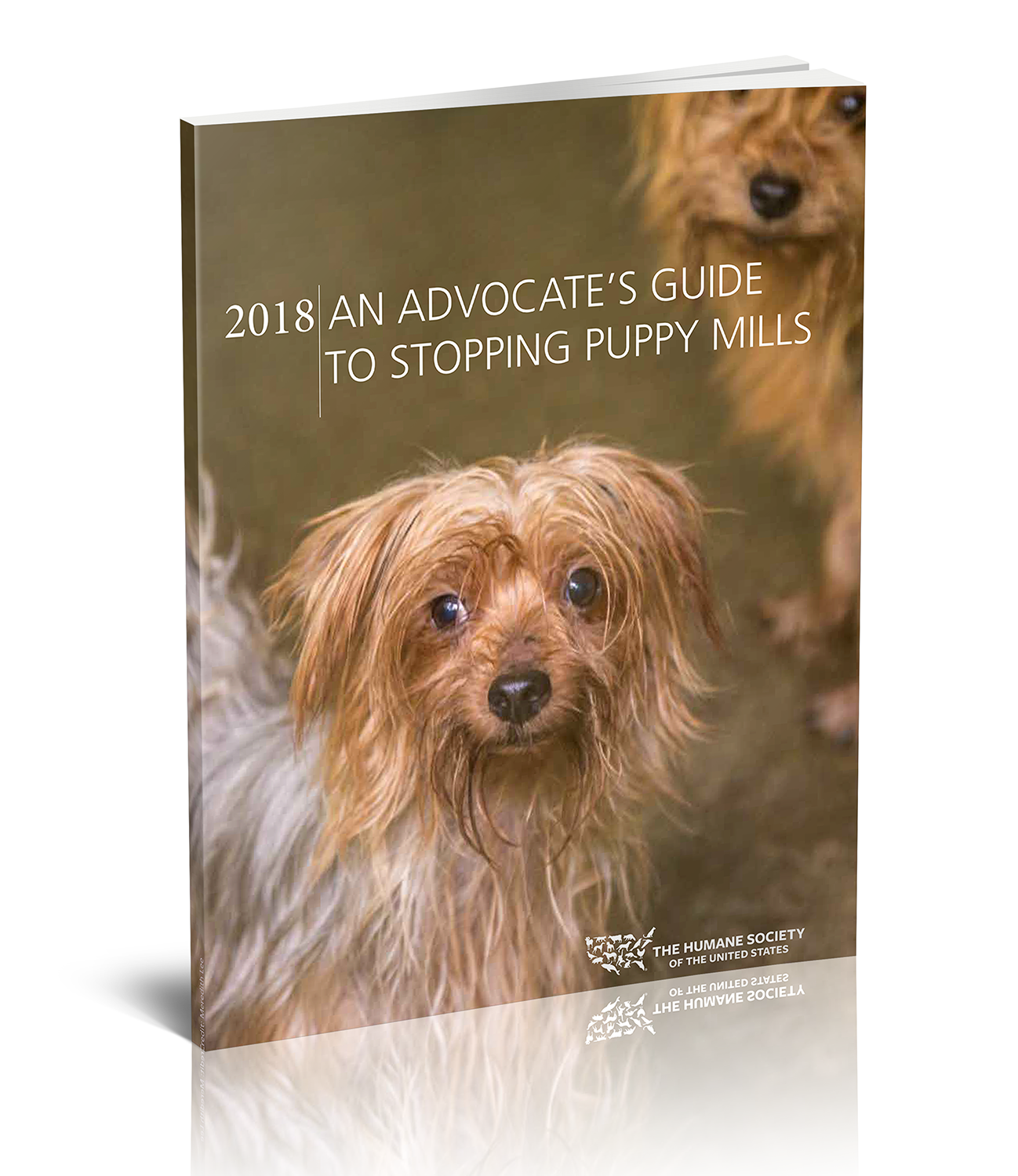 Advocacy guide cover